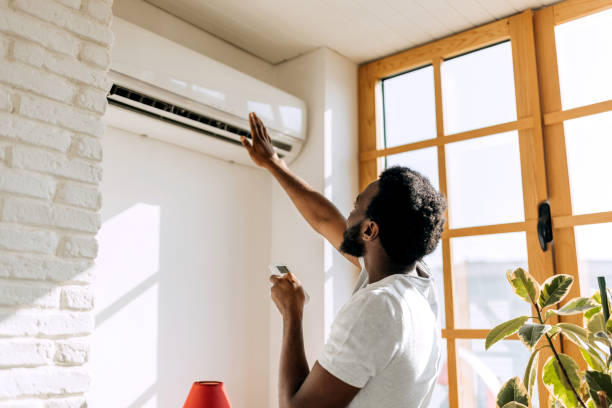 Best Best HVAC companies  in Pequot Lakes, MN